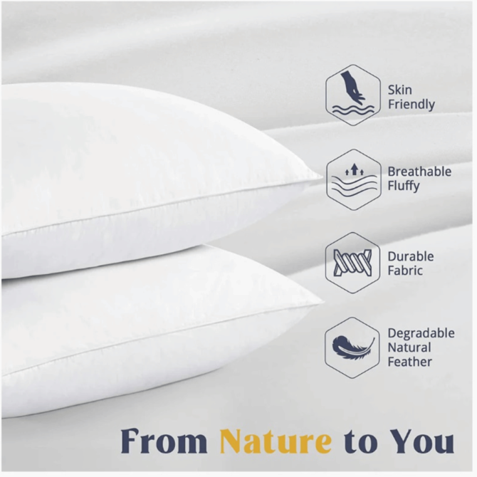 Filled Feather Pillow