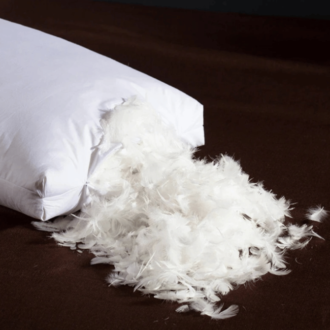 Filled Feather Pillow