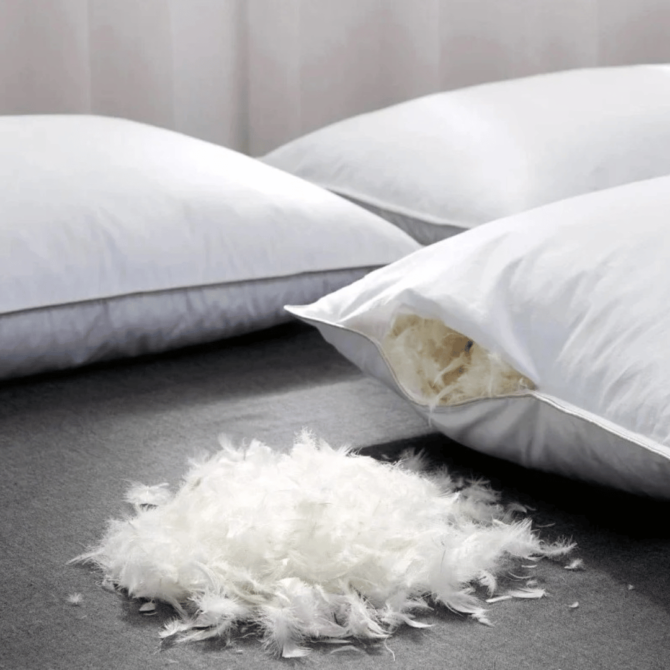 Filled Feather Pillow